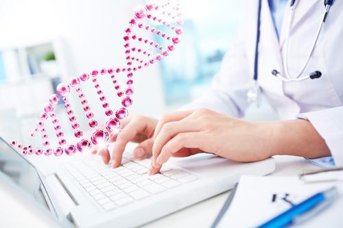 备孕中提升线粒体功能，改善卵子质量