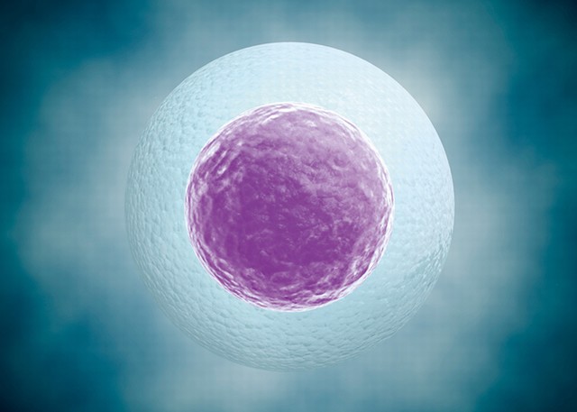 冻卵系列：冻卵过程中的注意事项有哪些?